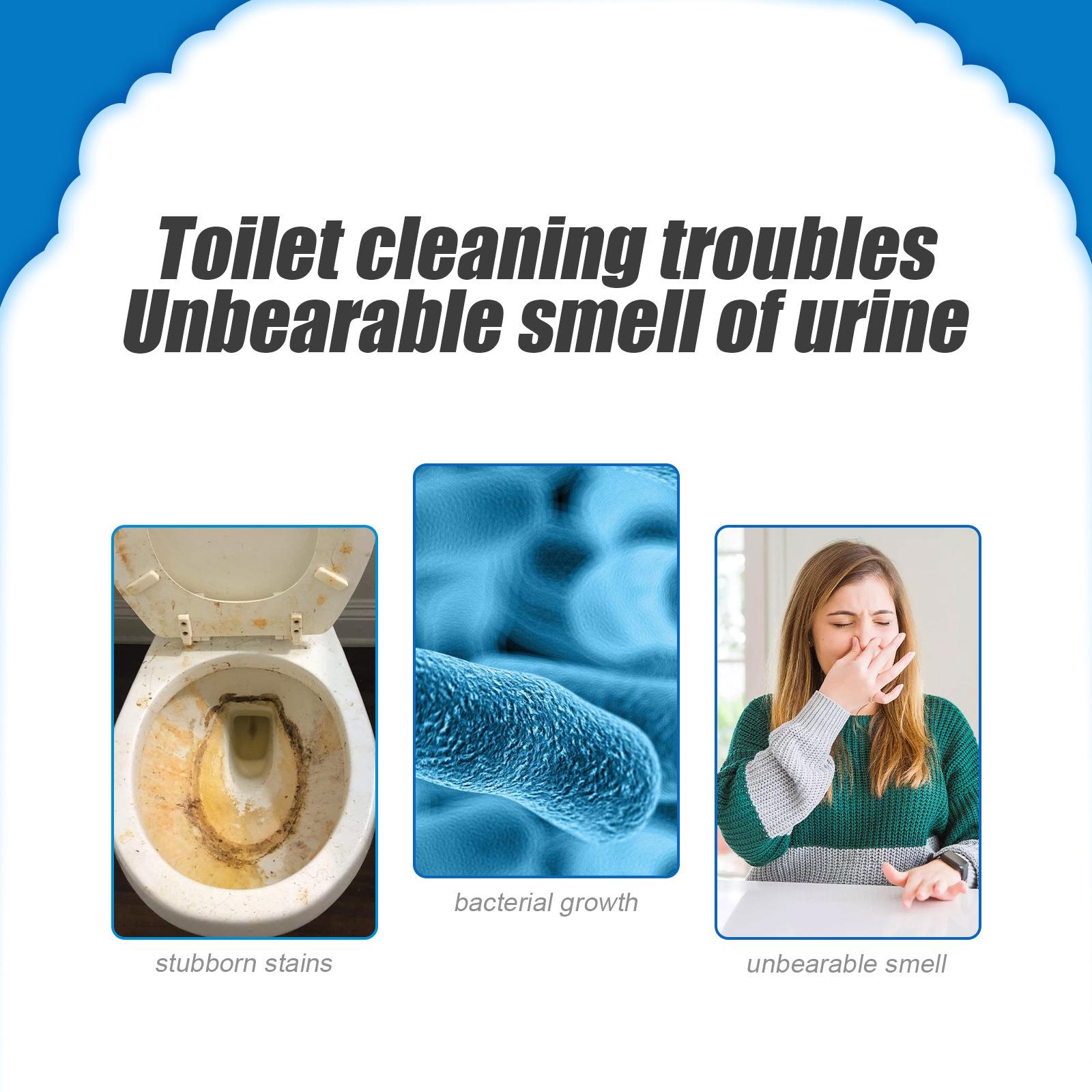 トイレボウル洗浄剤粉末　強力汚れ落とし　家庭・ホテル・RV用 - Home Bathroom Cleaning Solution のレビューと価格